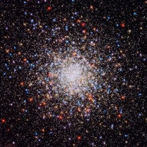 Meet your Posher, Posh